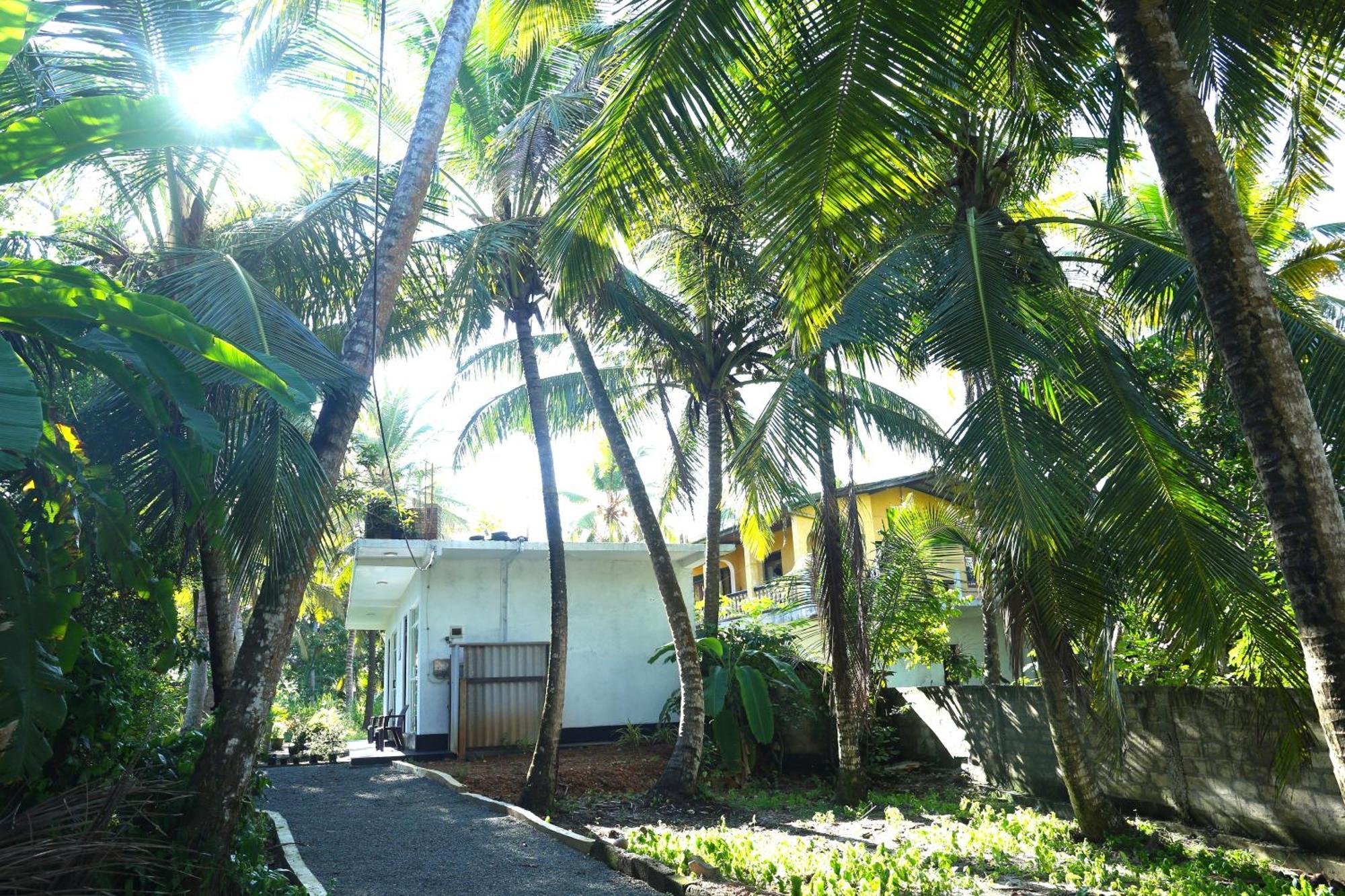 Sandy Palms Guesthouse Hikkaduwa Buitenkant foto